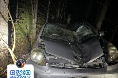 Бесправник за рулем "Тойоты" врезался в дерево на трассе в Углегорском районе