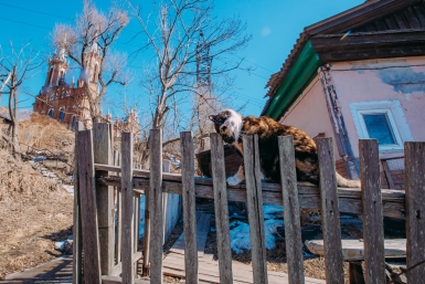 Тематическое фото Мария Смитюк, ИА PrimaMedia.ru