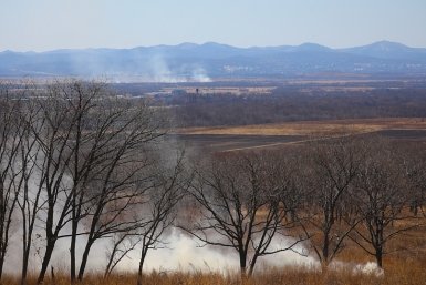 Четвёртый класс пожарной опасности сохранится в трёх округах Приморья до следующей недели Пресс-служба правительства Приморья