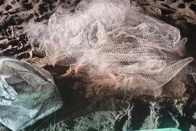 В Корсаковском районе браконьеры выловили 844 азиатской зубастой корюшки пресс-служба Сахалино-Курильское ТУ Росрыболовства