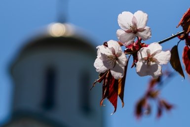Лучшие фотографии Сахалина и Курил за неделю