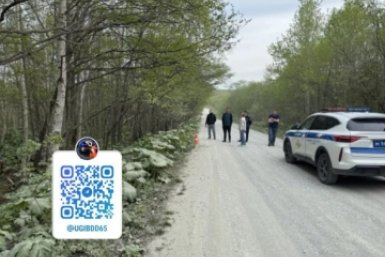 Квадроцикл улетел в кювет с трассы в Южно-Сахалинске