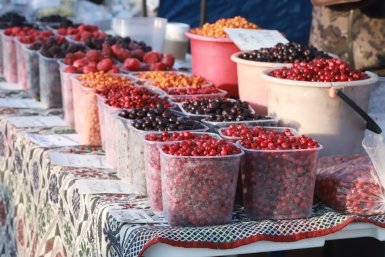 Тематическое фото ИА ChitaMedia