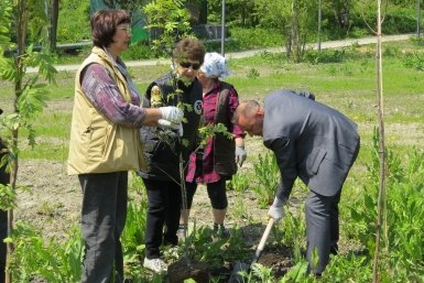 Жители Сахалина и Курил высадили сотни деревьев и цветов в общественных пространствах пресс-служба минЖКХ Сахалинской области