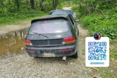 Подросток украл в селе старую Toyota и решил прокатиться на ней до Долинска Госавтоинспекция Сахалинской области