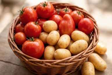 2 продукта с кухни - и фитофтороз улетучился: томаты и картофель дадут тройной урожай