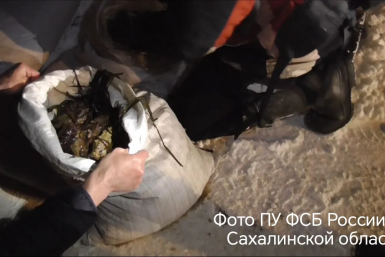Изъятый трепанг ПУ ФСБ России по Сахалинской области