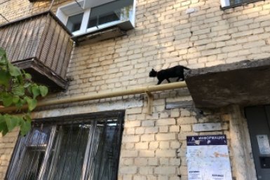 "Бабушкин вариант": почему старые квартиры на Сахалине стоят дешево?