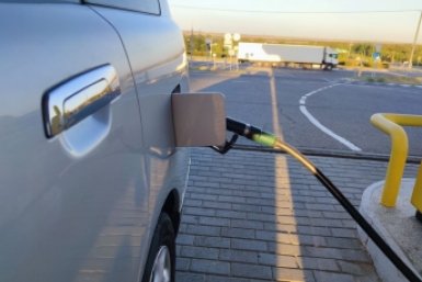 "Заправляйтесь чем можете": водителей в РФ предупредили о топливной катастрофе