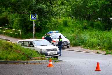 Полиция ловит медведя на Эгершельде во Владивостоке Евгений  Кулешов, ИА PrimaMedia