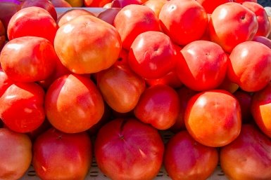 Тематическое фото Мария Смитюк, ИА PrimaMedia.ru