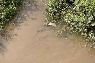 &quotГрязная вода&quot в приморском посёлке Рыбачьем вызвала реакцию прокуратуры Пресс-служба Амурской бассейновой природоохранной прокуратуры