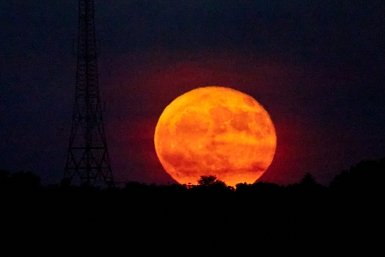 Не нужно бояться наступающей темноты Дмитрий Осипчук, ИА PrimaMedia.ru