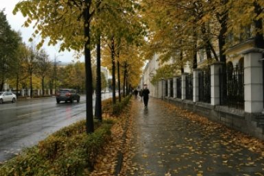Чтобы вас уважали, об этих трёх вещах лучше молчать: как говорить о сложностях и не терять лицо