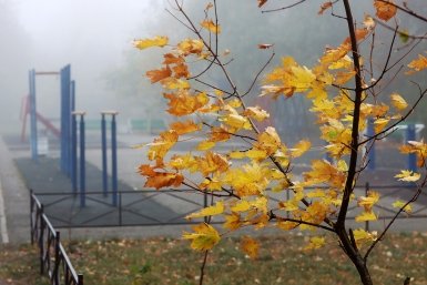 Тематическое фото Сергей Бумагин, ИА Stavropol.Media
