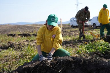 Высадка саженцев в Спасском участковом лесничестве в рамках акции &quotСохраним лес&quot Платон Волков (КГБУ &quotПриморская авиабаза&quot)