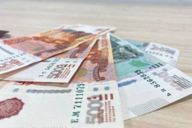 50 000 рублей — за кошку из приюта: что придумали для россиян
