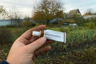 Мазь Вишневского в саду и огороде: как советские дачники обманывали мышей, кротов и медведок