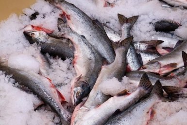 Красная рыба, икра и сахар подорожали в Сахалинской области в сентябре