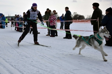 Соревнования по ездовому спорту Юрий Гуршал