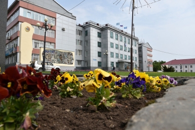 Озеленение Южно-Сахалинска Юрий Гуршал, ИА SakhalinMedia