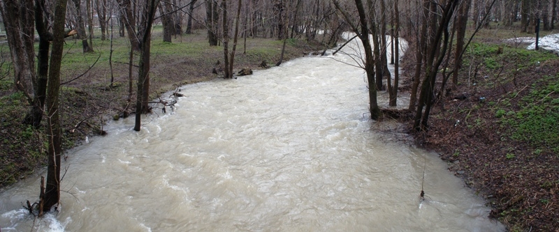 Река Рогатка полна воды