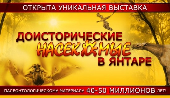 Доисторических насекомых в янтаре впервые покажут на Сахалине