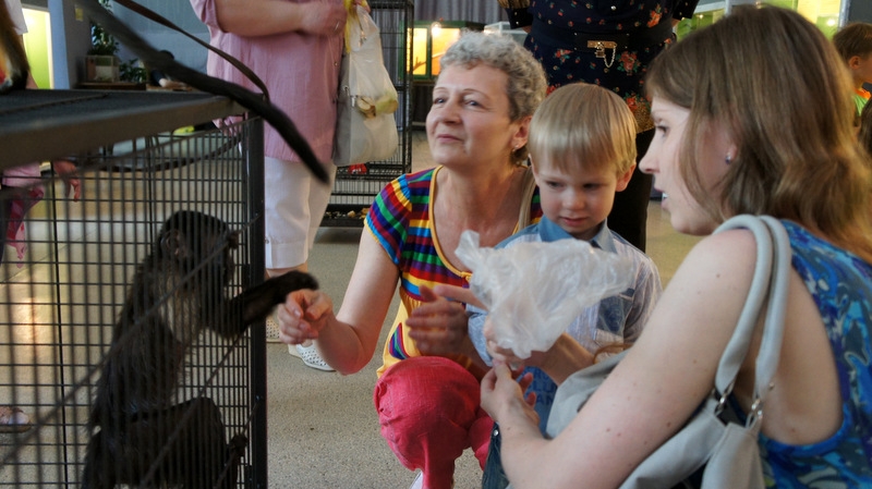 Можно самому покормить животных