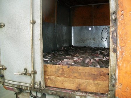Дорогостоящий груз, Фото с места события из других источников