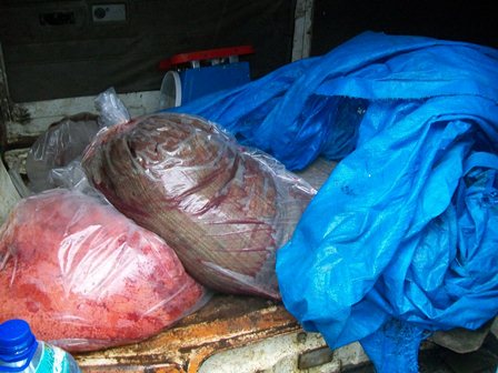 100 кг лососевой икры, Фото с места события из других источников