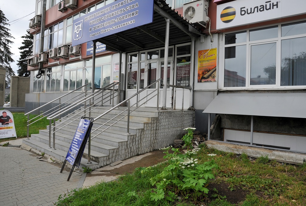 Борщевик в центре города, Фото с места события собственное