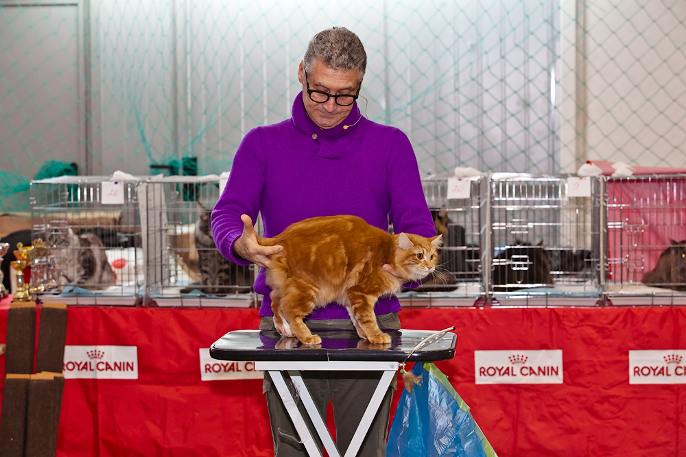 Смотрим экстерьер, Фото с места события из других источников