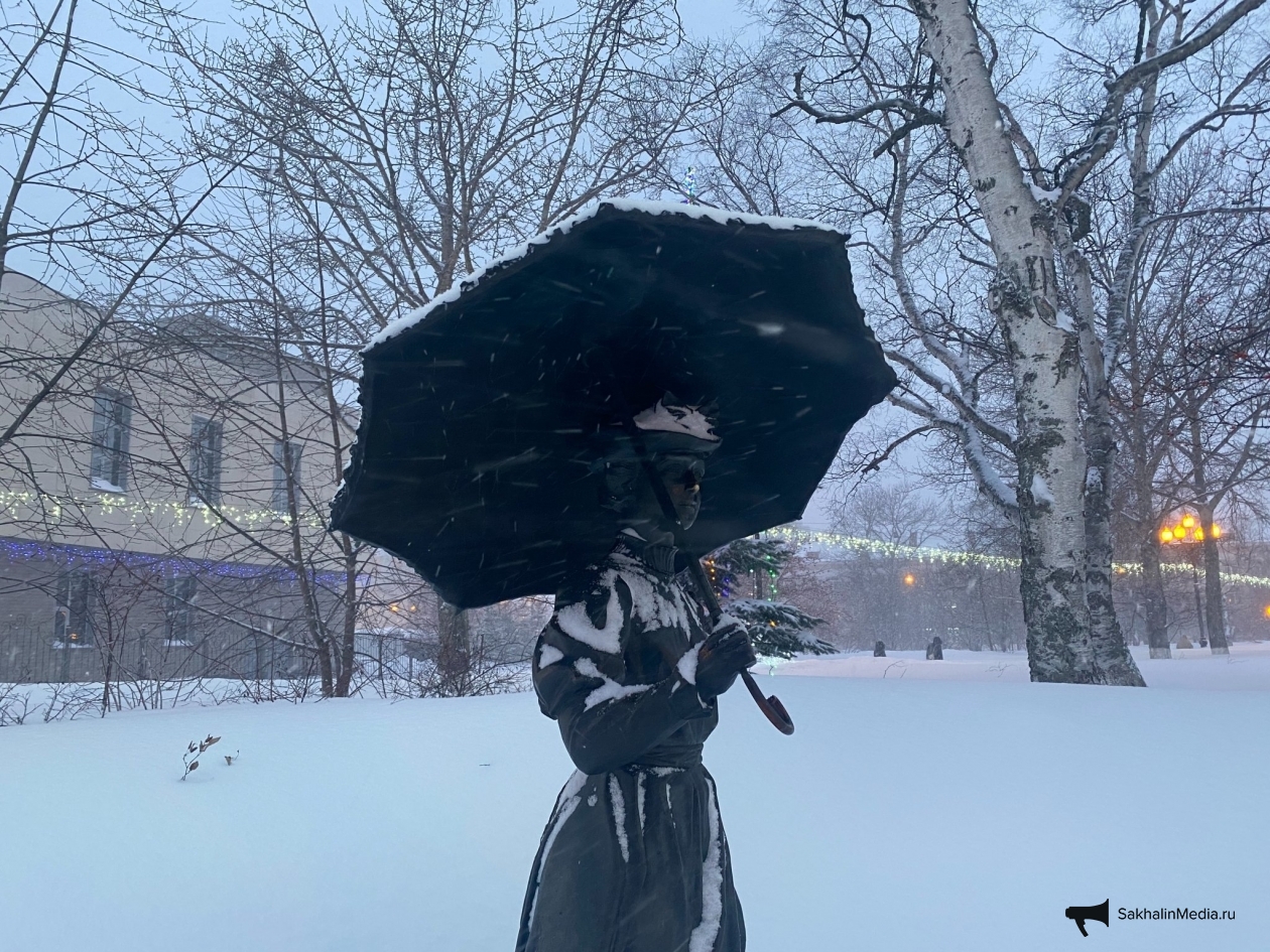 Тематическое фото ИА SakhalinMedia