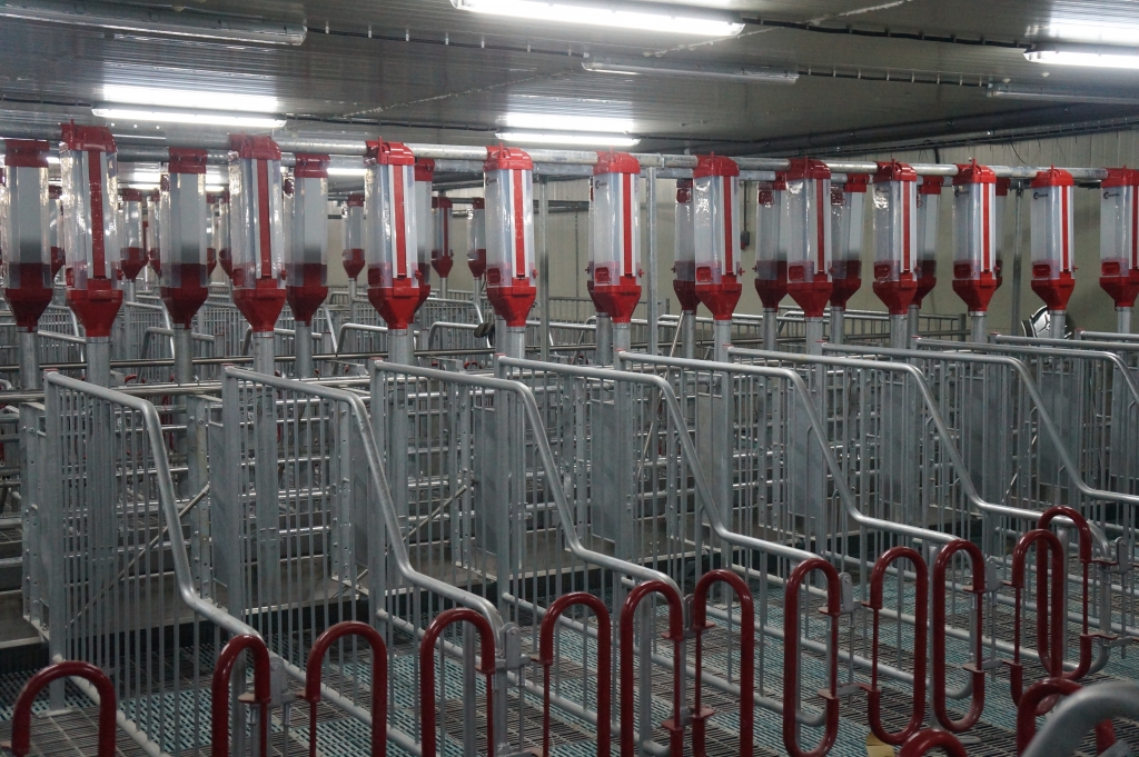 Совещание в Таранае., Фото с места события собственное