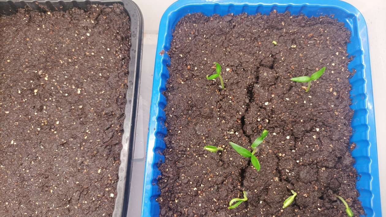 Тематическое фото Фото автора