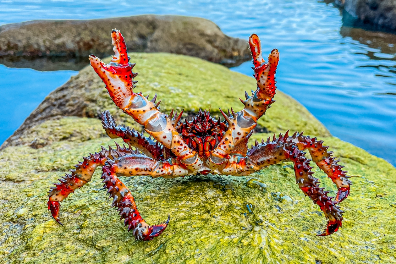 Мария Смитюк, ИА PrimaMedia