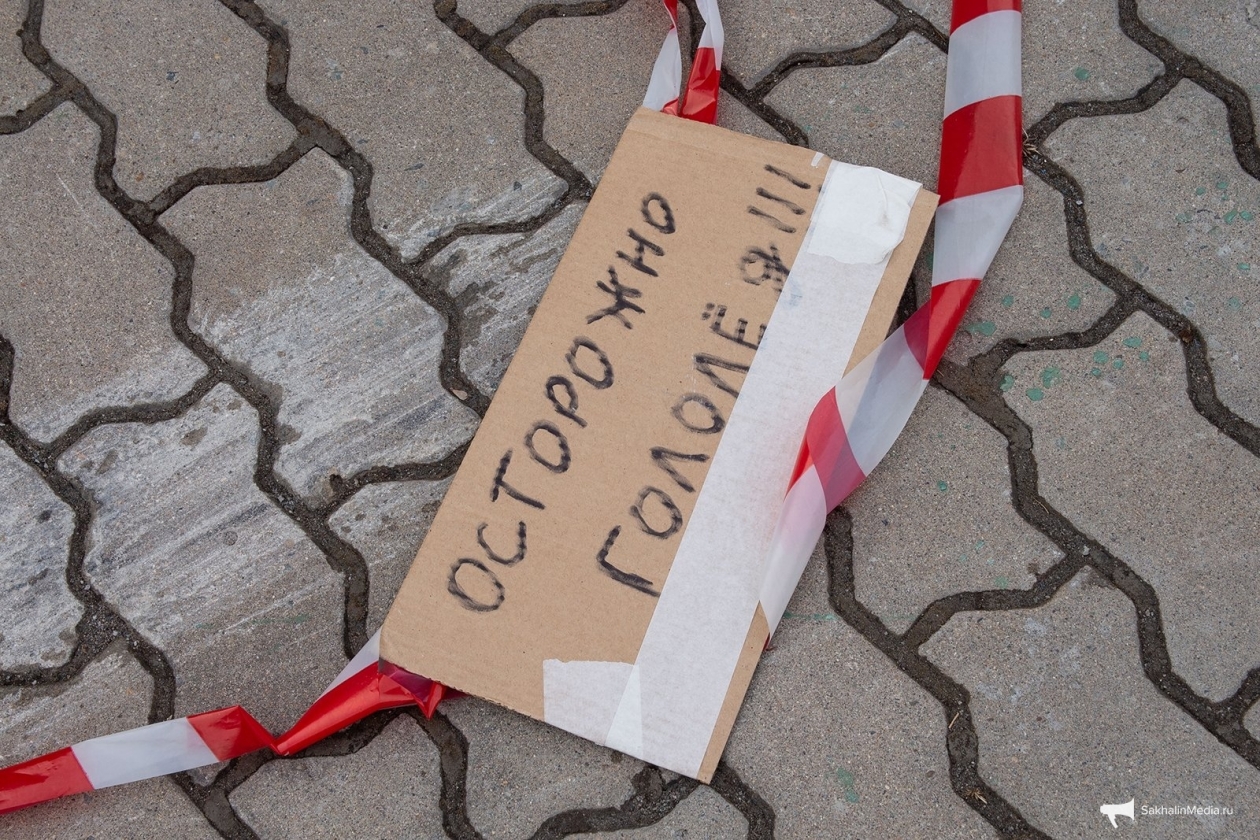 Тематическое фото Юлия Матреницкая, ИА AmurMedia.ru