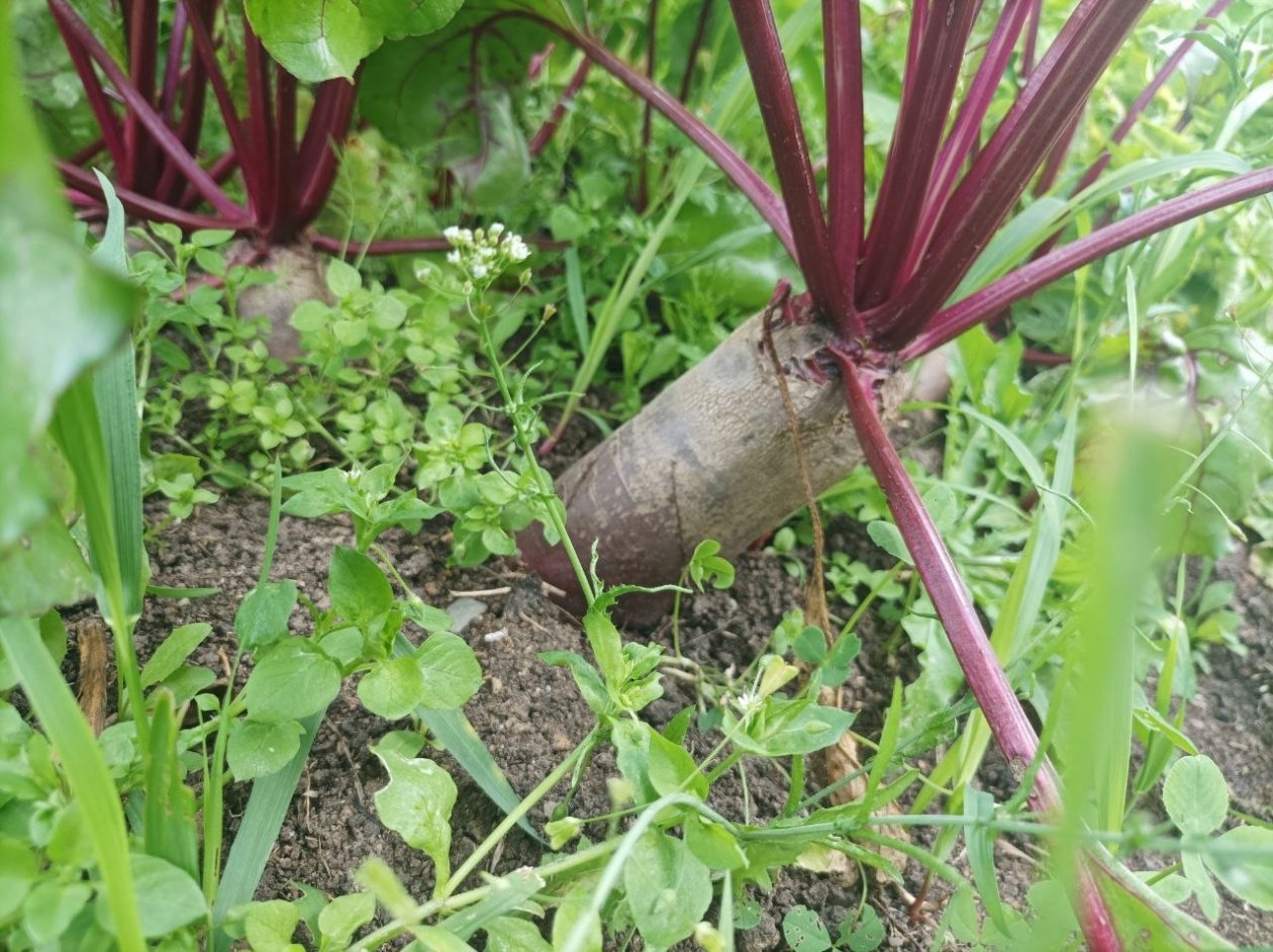 Тематическое фото Фото автора