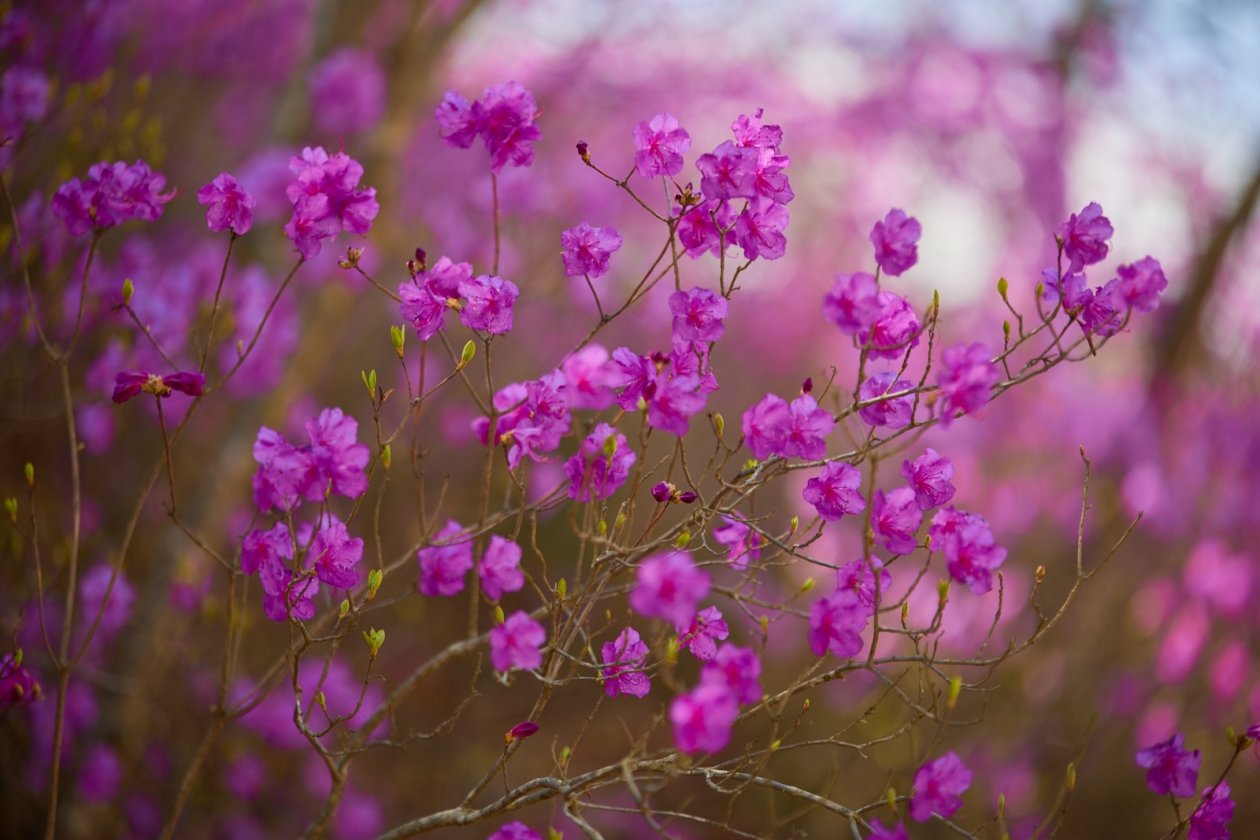 Дмитрий Осипчук, ИА PrimaMedia.ru