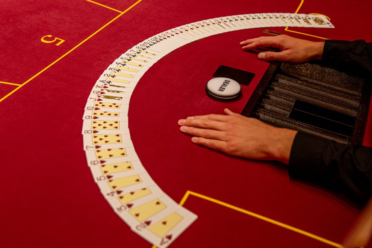 Мария Смитюк, ИА PrimaMedia.ru