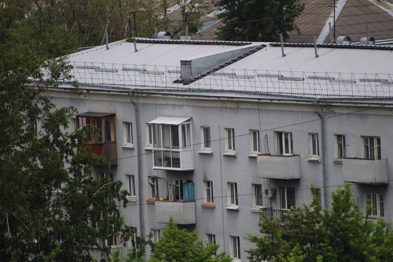 Тематическое фото Юлия Ушакова, ИА IrkutskMedia