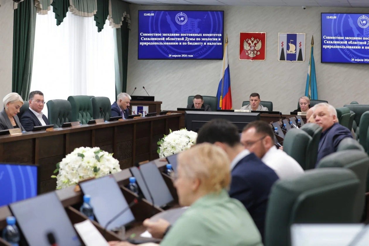 Заседание комитетов по экологии и по бюджету Сахалинской областной Думы пресс-служба Сахалинской областной Думы