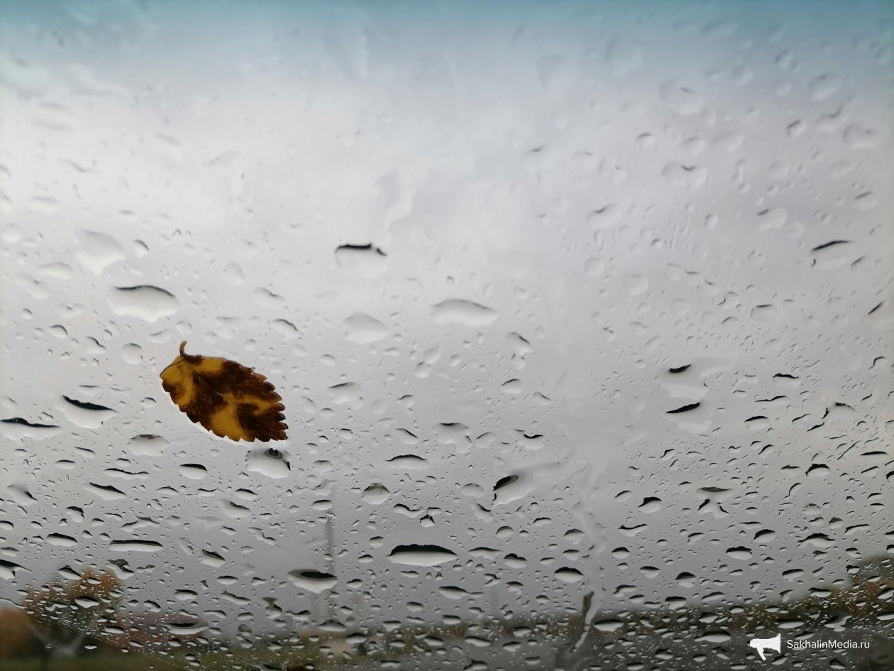 Погода, осень, дождь Анета  Абрамченко, ИА ChitaMedia