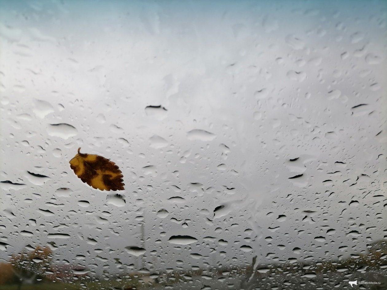 Тематическое фото Анета  Абрамченко, ИА ChitaMedia