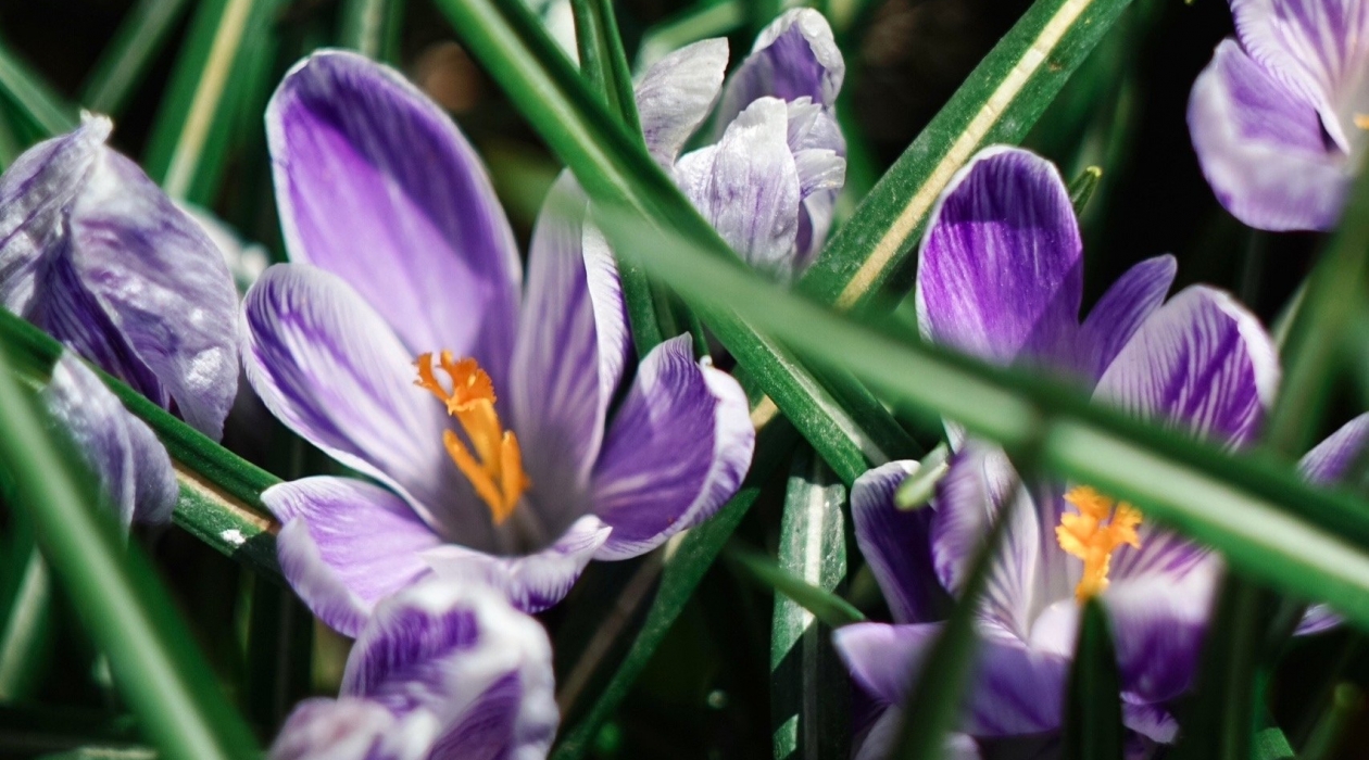 Тематическое фото Группа в Вконтакте &quotМуха в окне&quot (18+)