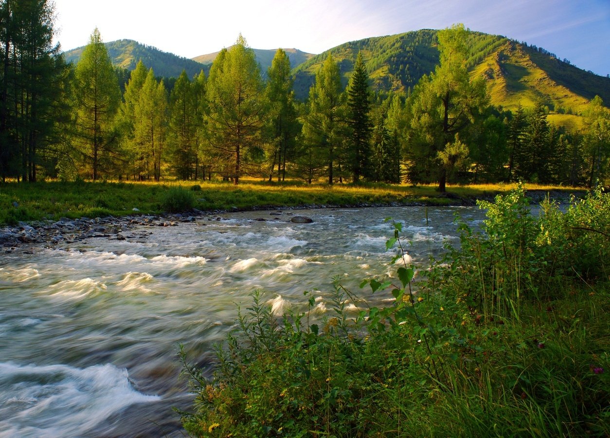 https://pxhere.com/ru/photo/1210629