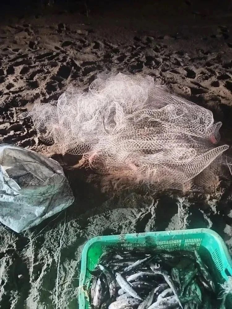 В Корсаковском районе браконьеры выловили 844 азиатской зубастой корюшки пресс-служба Сахалино-Курильское ТУ Росрыболовства