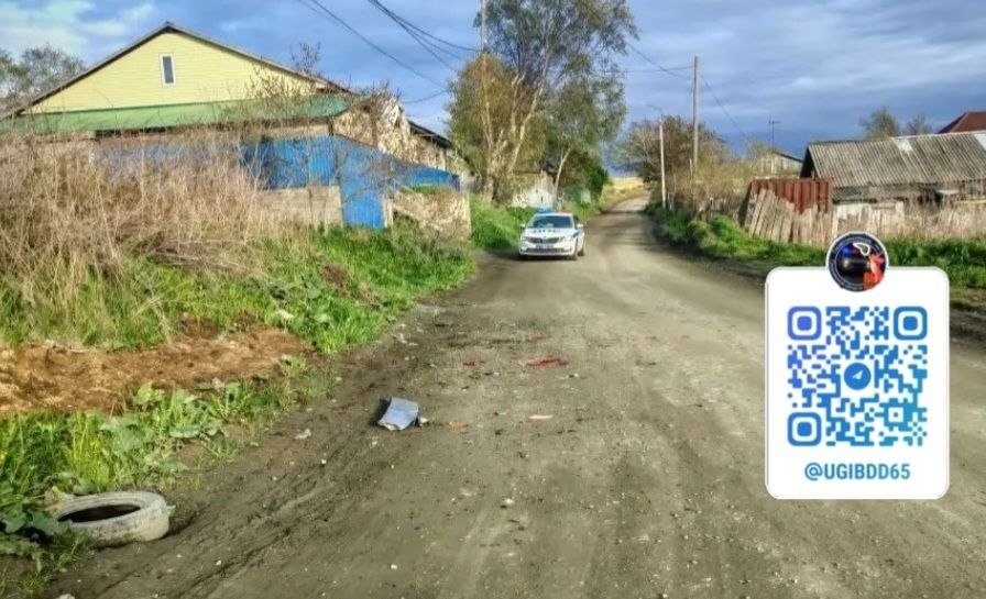 В Корсакове автомобиль опрокинулся на дороге и скрылся с места ДТП УГИБДД УМВД России по Сахалинской области
