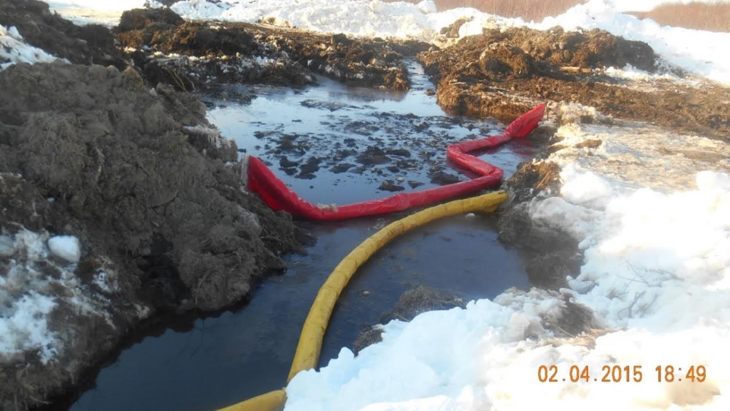 Специальными машинами постоянно вывозят откачанную из выкопанных ям нефть, Фото с места события из других источников