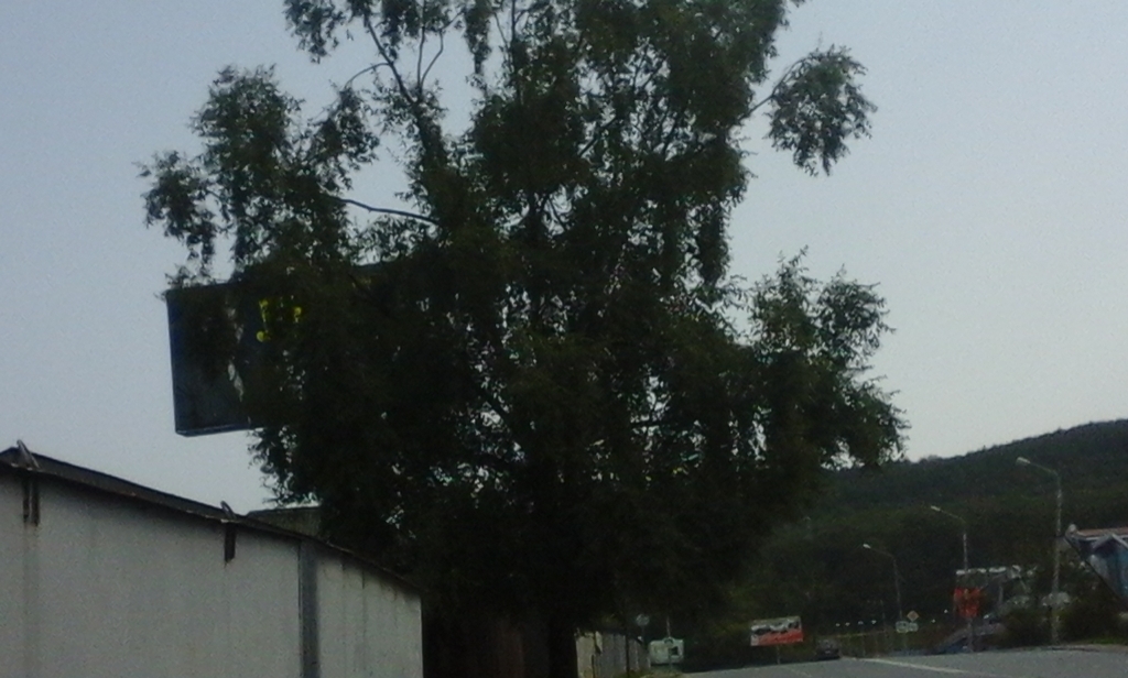 Реклама